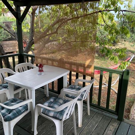 زادار Accommodation Suzy المظهر الخارجي الصورة