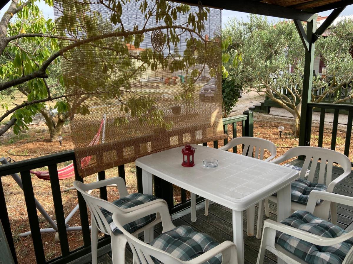 زادار Accommodation Suzy المظهر الخارجي الصورة