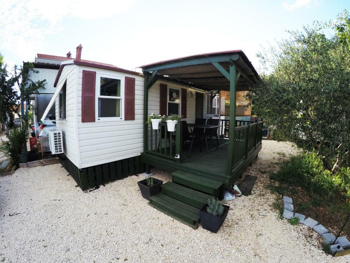 زادار Accommodation Suzy المظهر الخارجي الصورة