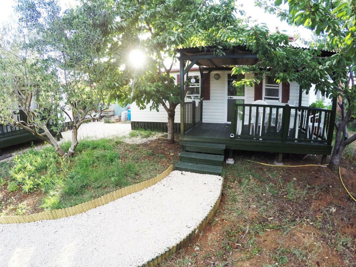 زادار Accommodation Suzy المظهر الخارجي الصورة