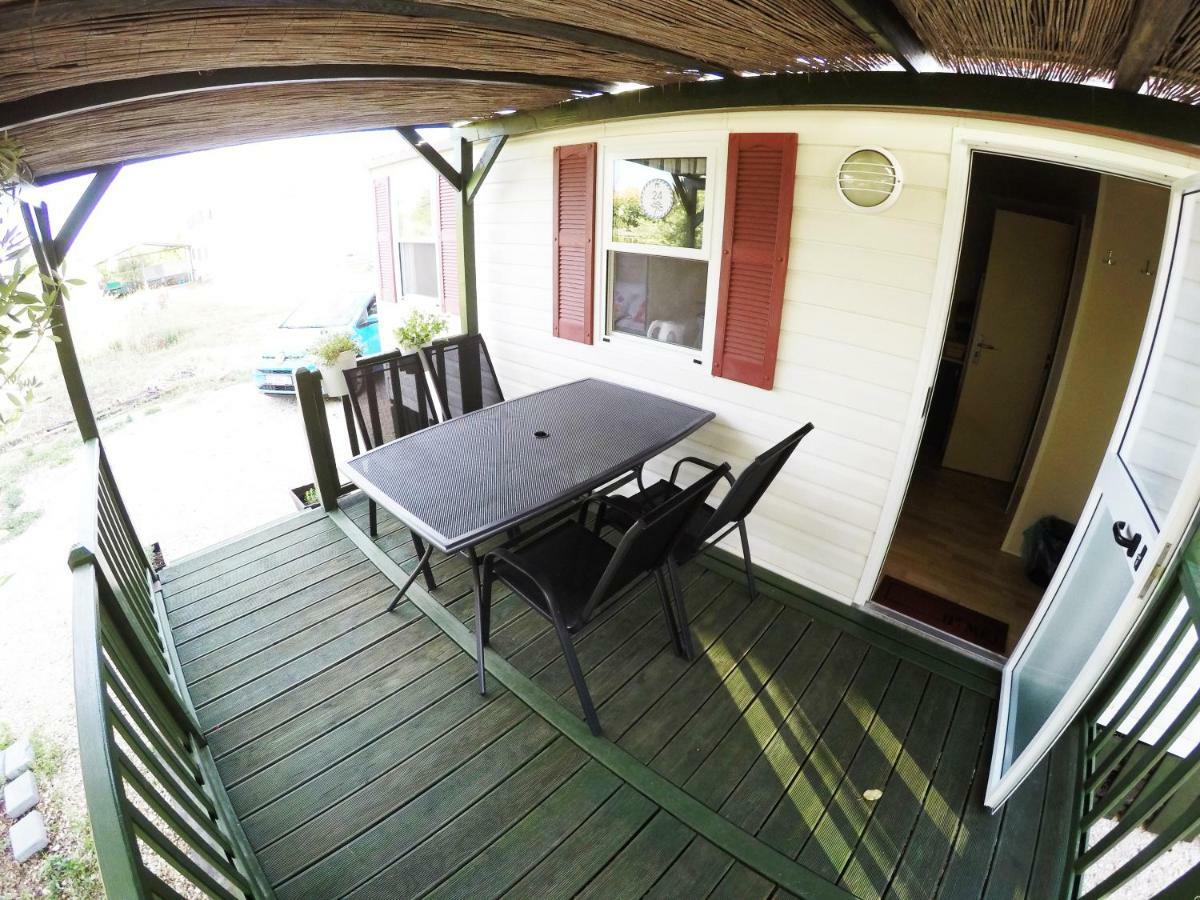 زادار Accommodation Suzy المظهر الخارجي الصورة